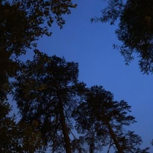 Meet your Posher, Genesis